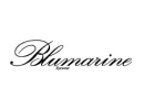 BLUEMARINE